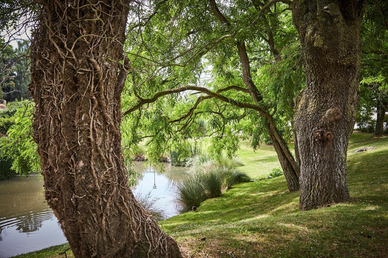 Les Jardins De L'Anjou Hotell Montjean-sur-Loire Exteriör bild