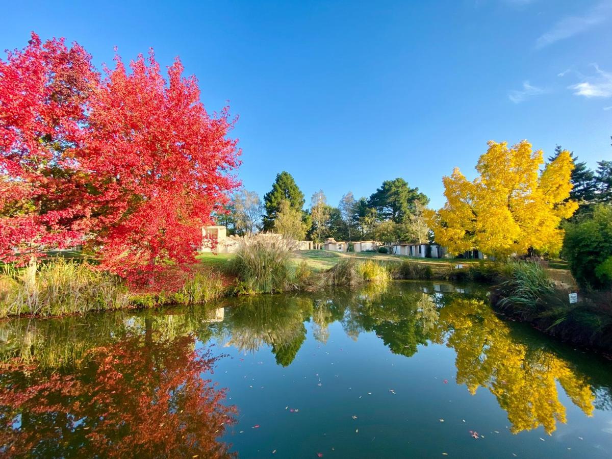 Les Jardins De L'Anjou Hotell Montjean-sur-Loire Exteriör bild